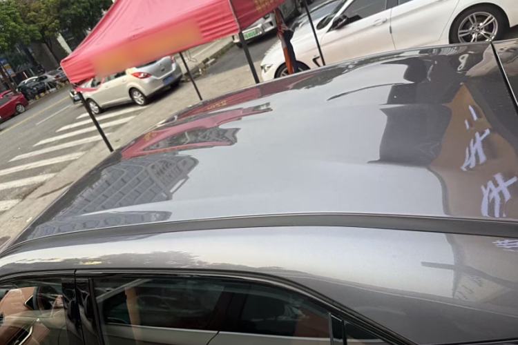 Used NETA X 2024 500 First Edition
