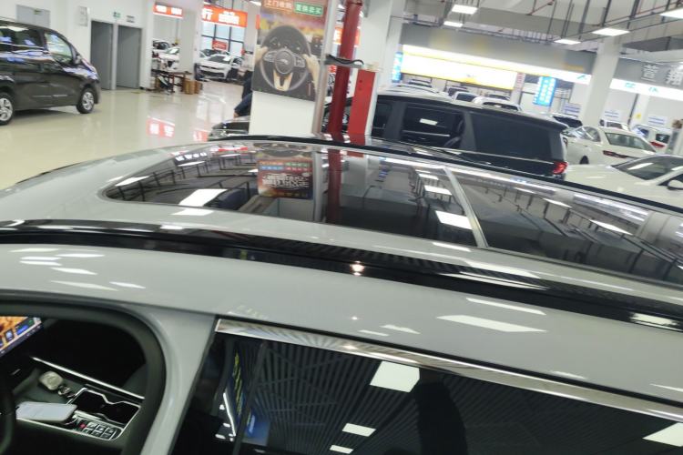 Used Fengyun T9 2024 120 Long-Range Comfort Version 5 Seats Lithium Iron Phosphate Roof