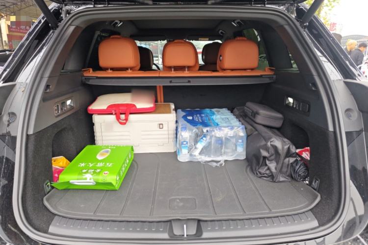 Used Li Auto L6 2024 Max
