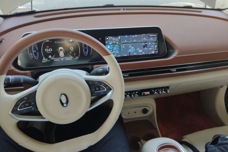 Used ORA Good Cat 2023 401 km Standard Range Luxury Version Lithium Iron Phosphate
