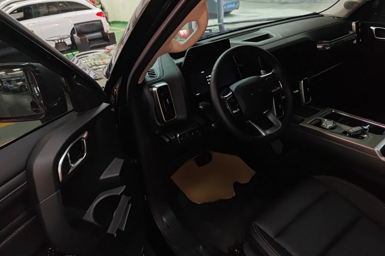 Used Haval DARGO 2024 2.0T DCT Chinese Rural Dog Edition
