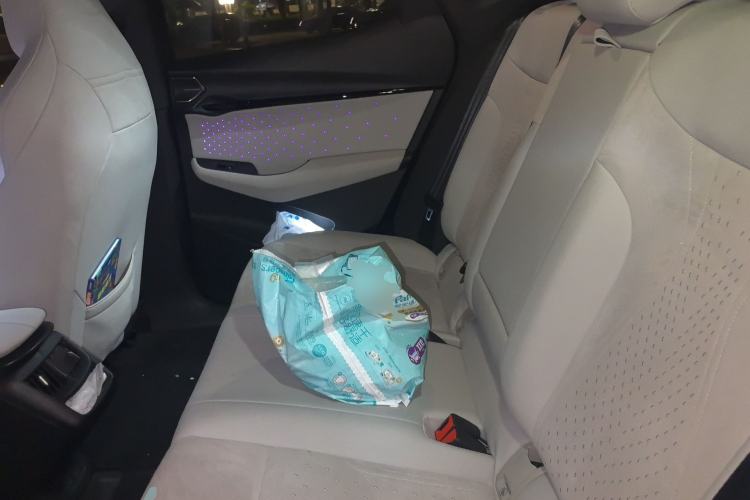 Used Volkswagen ID.UNYX 2024 Revised Version Max High-Performance Edition Left Rear Seat