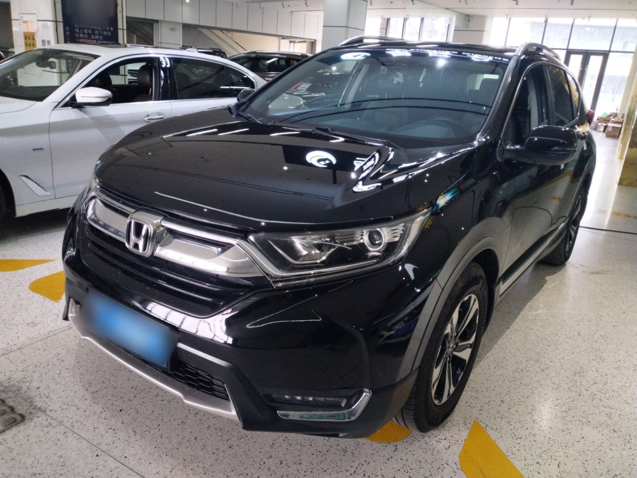 Parte inferior delantera