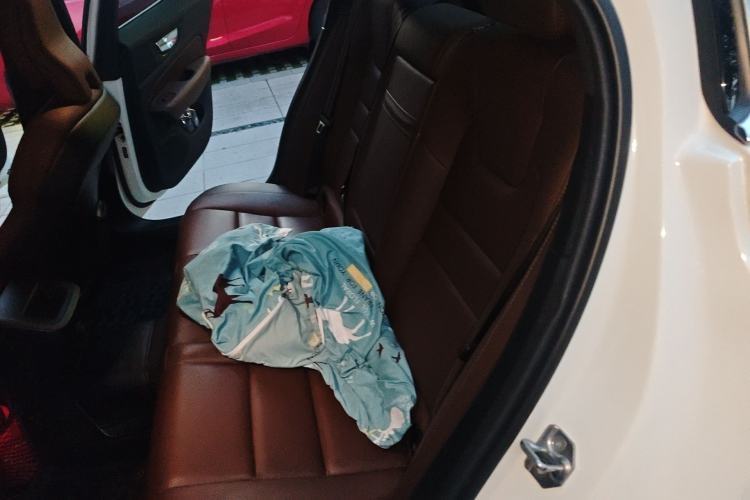 Used Volvo S60 2020 T4 Zhiyi Luxury Edition Left Rear Seat