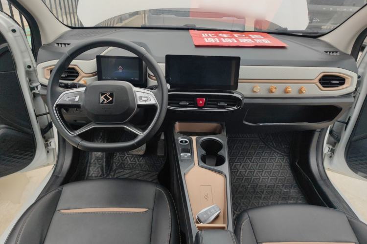 Used SOL E10X 2022 Flower Fairy Design Four-Leaf Clover
