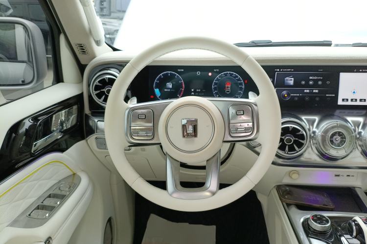 Used Cyberspace Tank 300 2021 2.0T Cyber Tank
