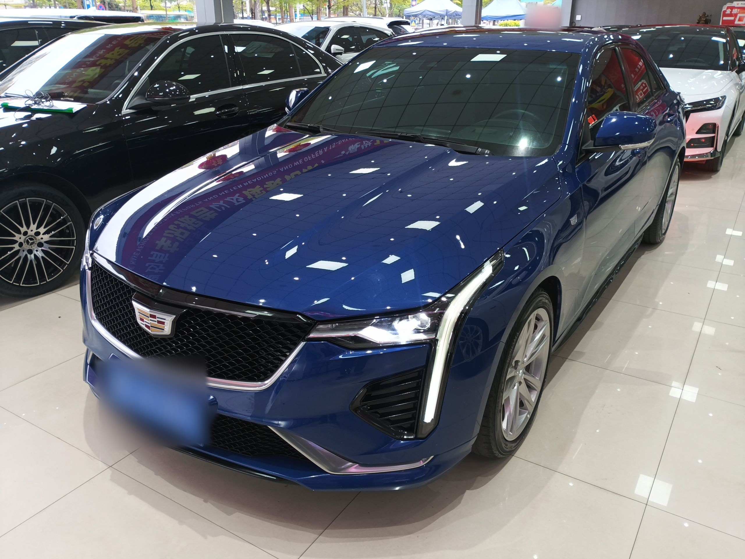 Parte inferior delantera