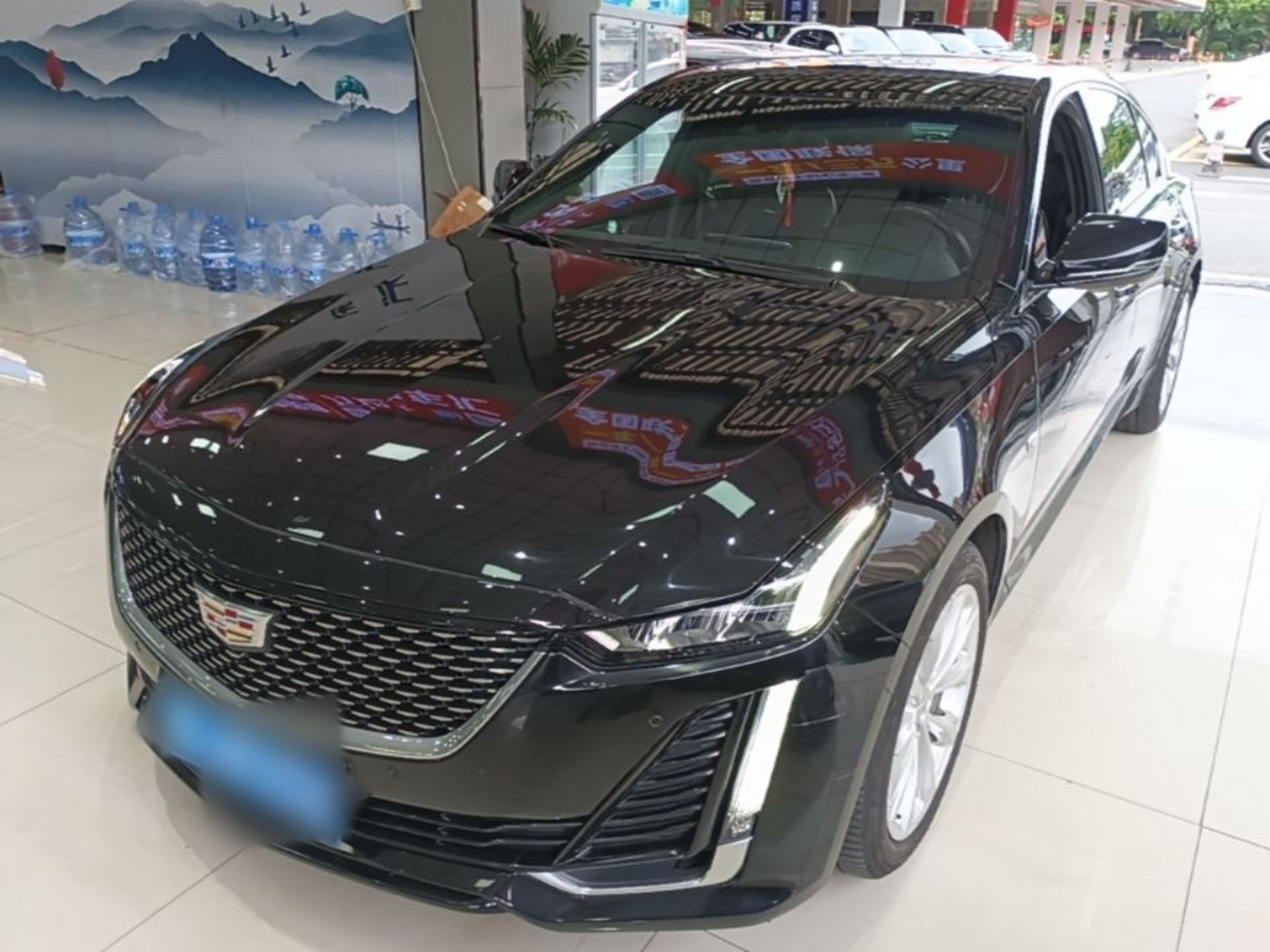 Under Front Bumper