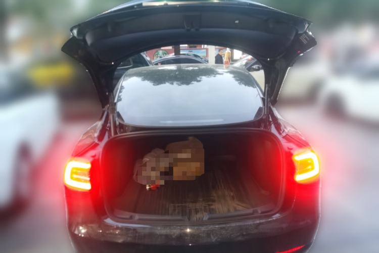 Used Tesla Model 3 2022 Rear-Wheel-Drive Version