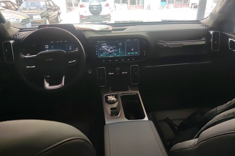 Used Haval DARGO 2024 2.0T DCT Chinese Rural Dog Edition
