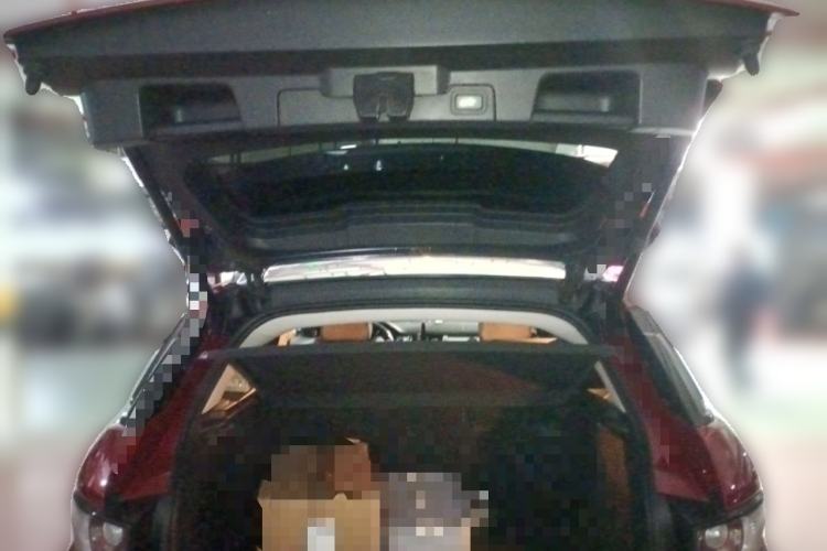 Used Land Rover Range Evoque 2014 2.0T 5-Door Luxury Edition Trunk