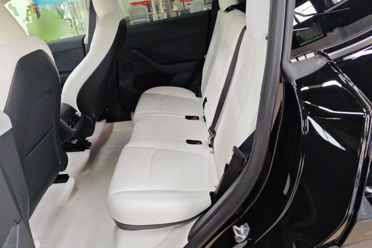 Used Tesla Model Y 2023 Long-Range All-Wheel-Drive Version Left Rear Seat