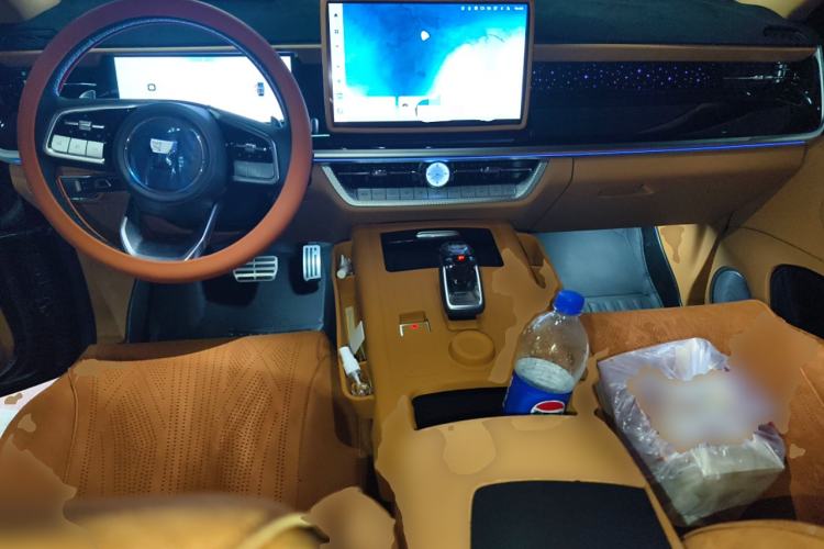 Used Tank 500 New Energy 2024 Hi4-T
