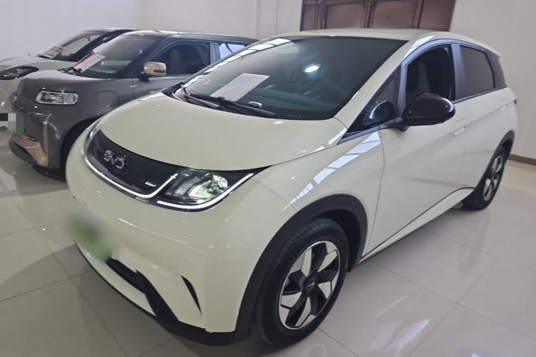 Used BYD Dolphin 2025 420km Free Edition