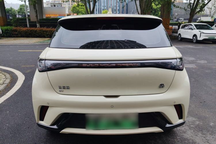 Used BYD Dolphin 2021 405 km Fashion Edition Rear