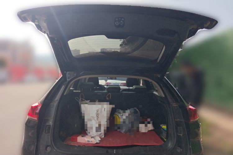 Used Wey VV5 2021 1.5T Two-Wheel Drive Smart Pioneer