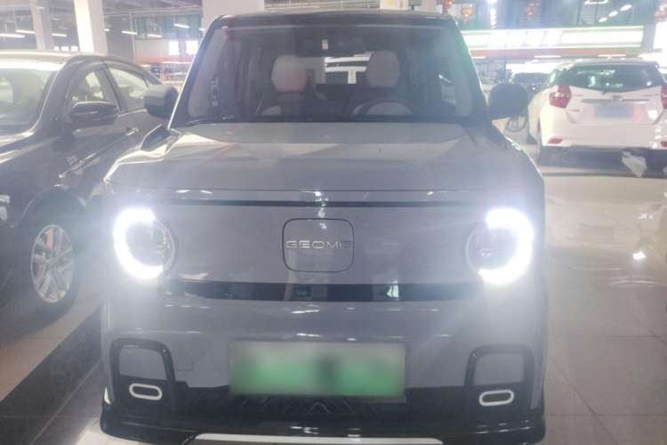 Used Geely Auto Panda 2024 200km Panda Kart