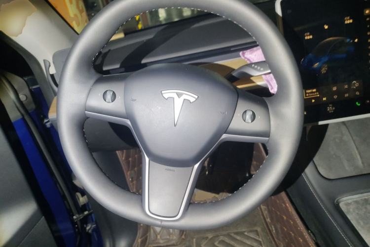 Used Tesla Model Y 2021 Standard Range Rear-Wheel Drive Version
