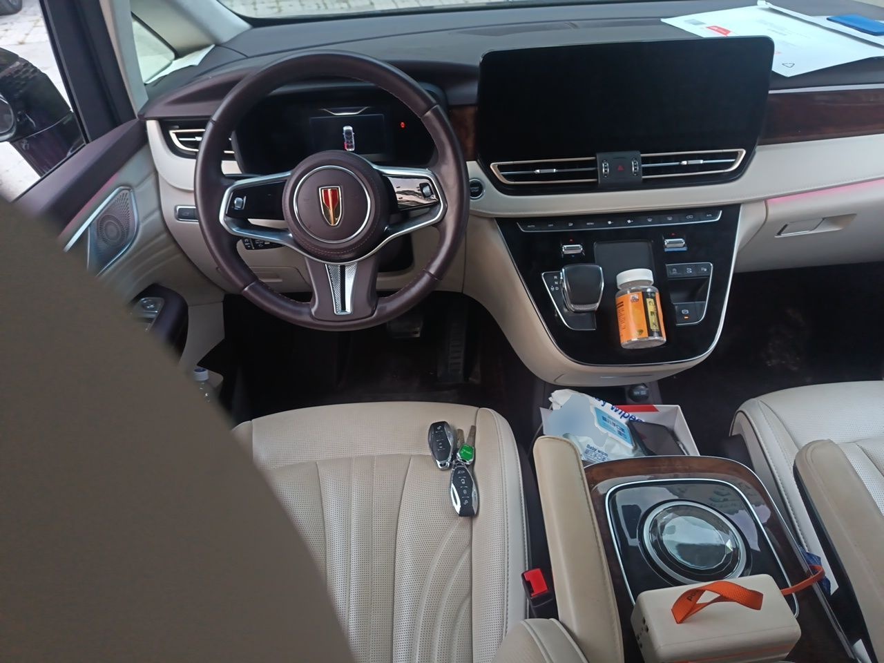 Hongqi HQ9 2023 2.0T Smart Connect Flagship Edition - Chinese Trim Ling — снимка 10