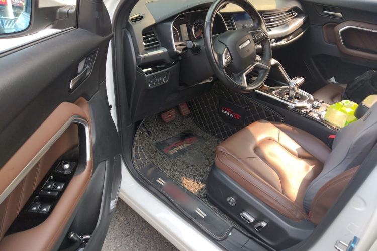 Used Haval H6 2017 Red Label 2.0T Automatic Two-Wheel Drive ZhiShang Model
