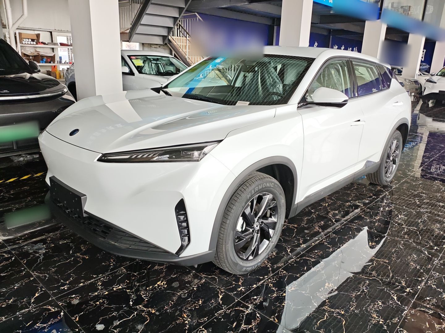 Parte inferior delantera