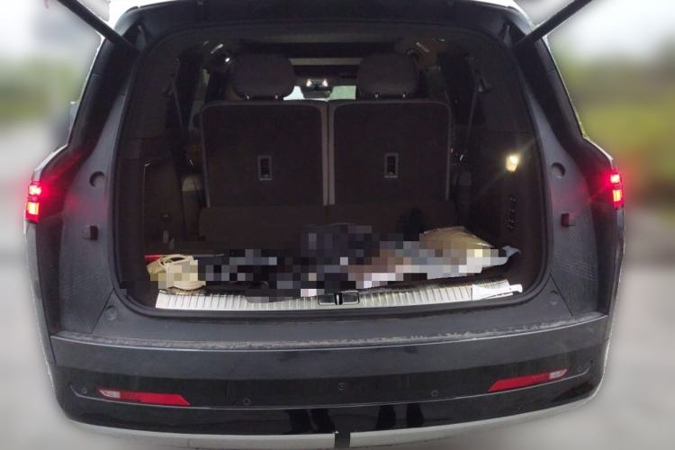 Used Denza N9 2025 Prestige Version