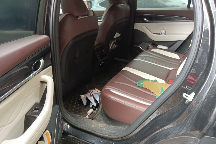 Used Geely Auto Monjaro L 2024 2.0TD DCT EVO Two-Wheel Drive Prestige Version