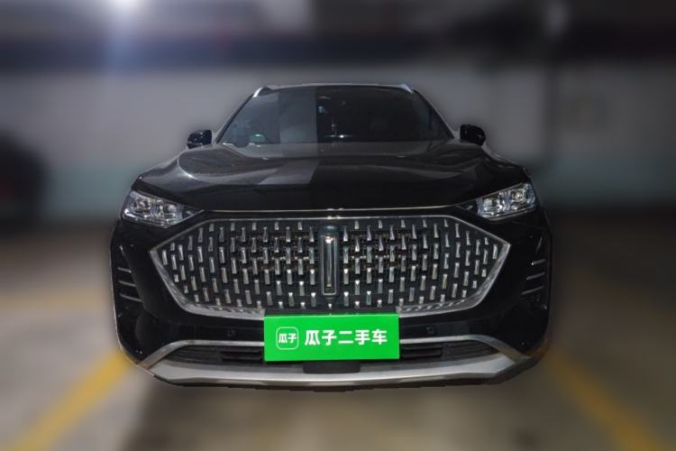 Used Wey Mocha 2021 2.0T Two-Wheel-Drive Ultra-Strong Version
