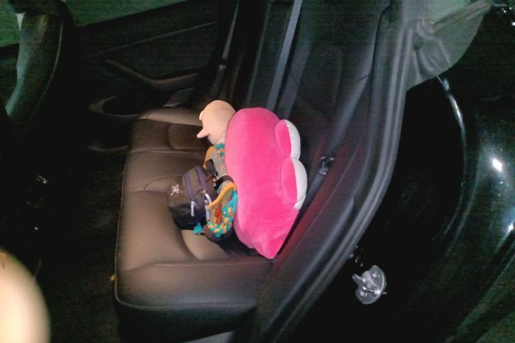 Used Tesla Model 3 2021 Standard Range Rear-Wheel Drive Upgraded Version 3D6 Left Rear Seat