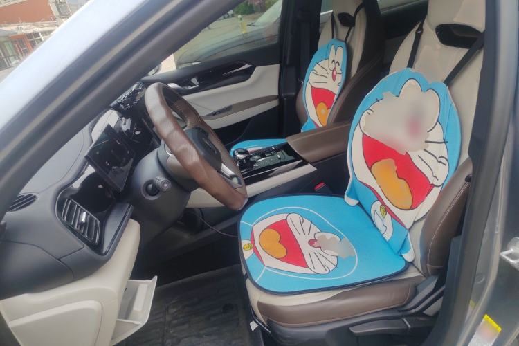 Used BYD Qin PLUS 2024 HONOR Edition DM-i 55KM Leading Model Left Front Seat