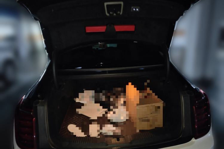 Used Hongqi H9 2020 2.0T Smart Connect Flagship Edition