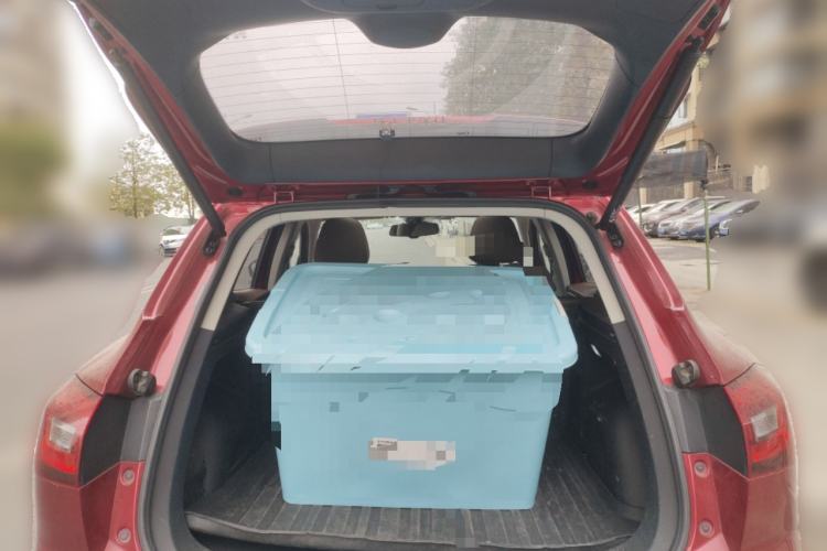 Used BORGWARD BX5 2017 25TGDI Automatic Four-Wheel Drive Smart Enjoyment Model
