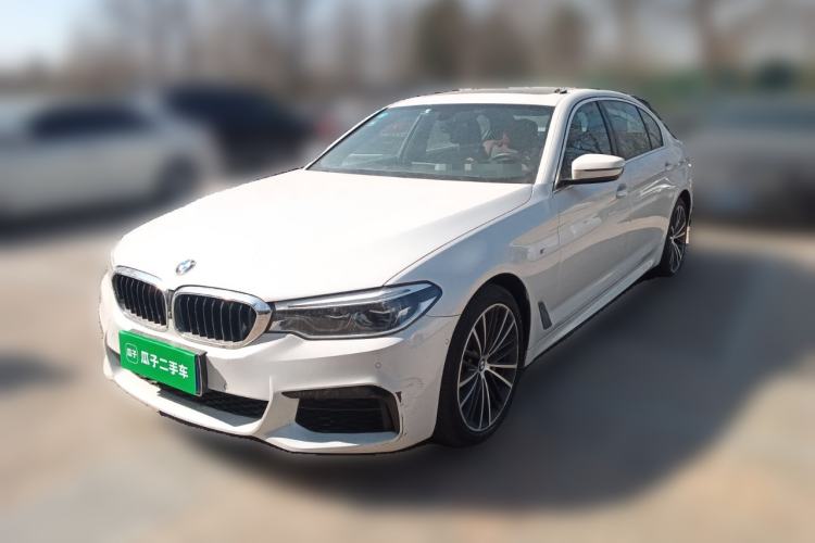 Used BMW 5 Series 2020 530Li Leading Model M Sport Package