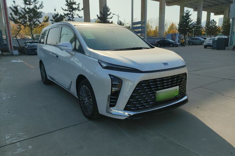 Used Buick GL8 New Energy 2024 Lu Zun Luxury Edition 7-Seater