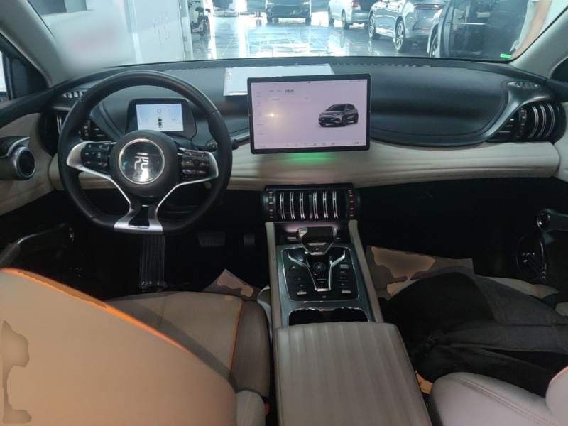 Used BYD Yuan PLUS 2023 Champion Edition 430KM Superior Model — 9