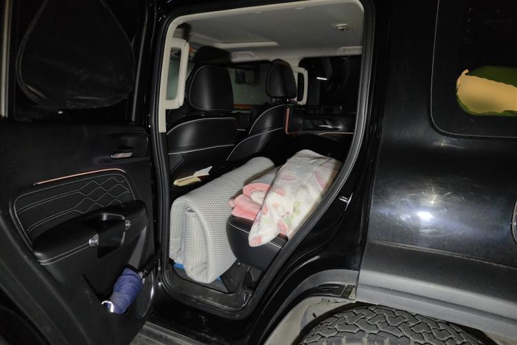 Used Tank 300 2021 Off-Road Edition 2.0T Challenger
