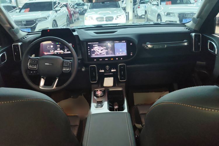 Used Haval DARGO 2024 2.0T DCT Chinese Rural Dog Edition
