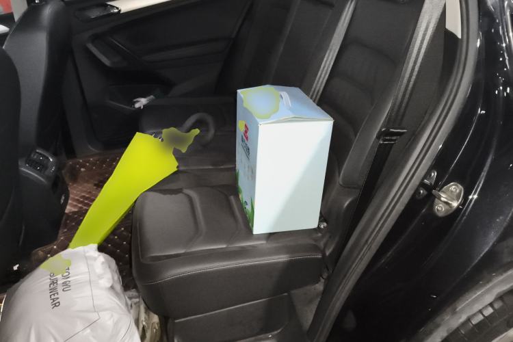 Used Volkswagen Tiguan L 2019 Revised 330TSI Automatic Two-Wheel Drive Smart & Luxury Edition China VI Standard Left Rear Seat