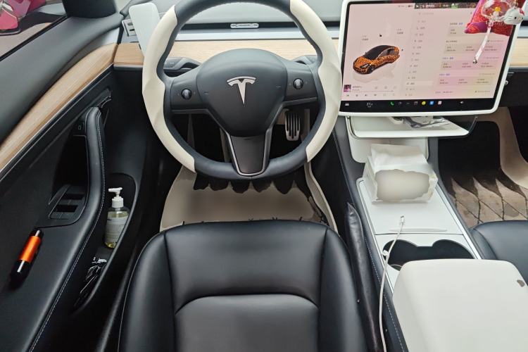 Used Tesla Model 3 2022 Rear-Wheel-Drive Version
