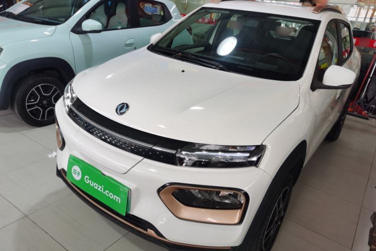 Used Dongfeng NAMMI EX1 2023 PRO Light Wind Edition Lightning Model