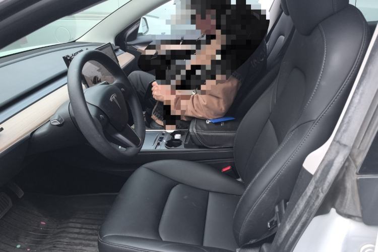 Used Tesla Model 3 2022 Rear-Wheel-Drive Version