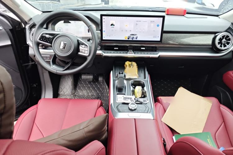 Used Tank 400 2025 2.0T Gasoline Version
