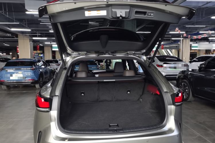 Used Lexus RX New Energy 2023 450h+ Four-Wheel Drive Enjoyment Edition Trunk