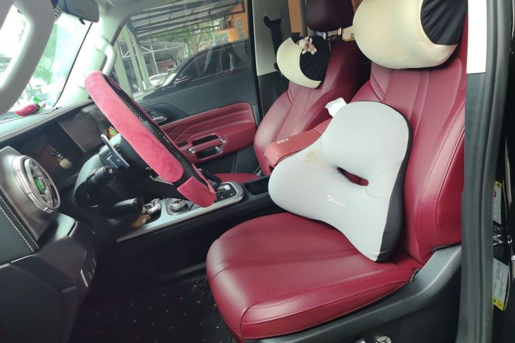 Used Tank 300 2024 2.0T Conqueror