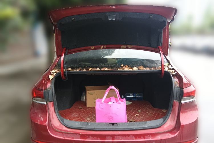 Used Buick GT 2019 18T Automatic Connected Elite Model China V Standard Trunk