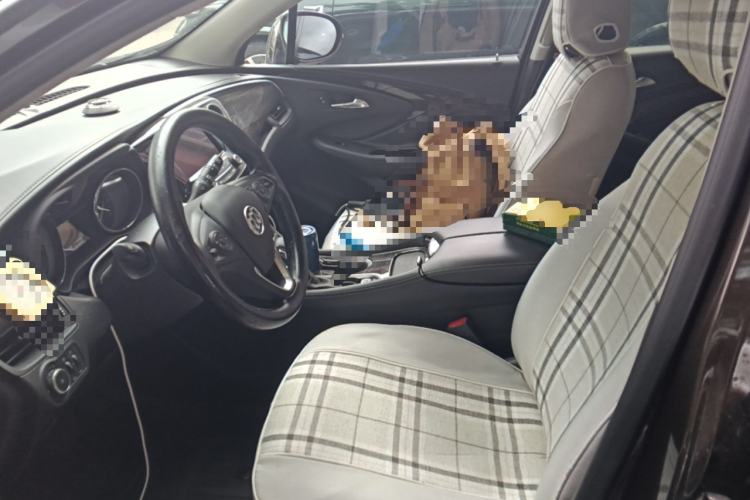 Used Buick Envision 2020 20T Two-Wheel Drive Leading Version Left Front Seat