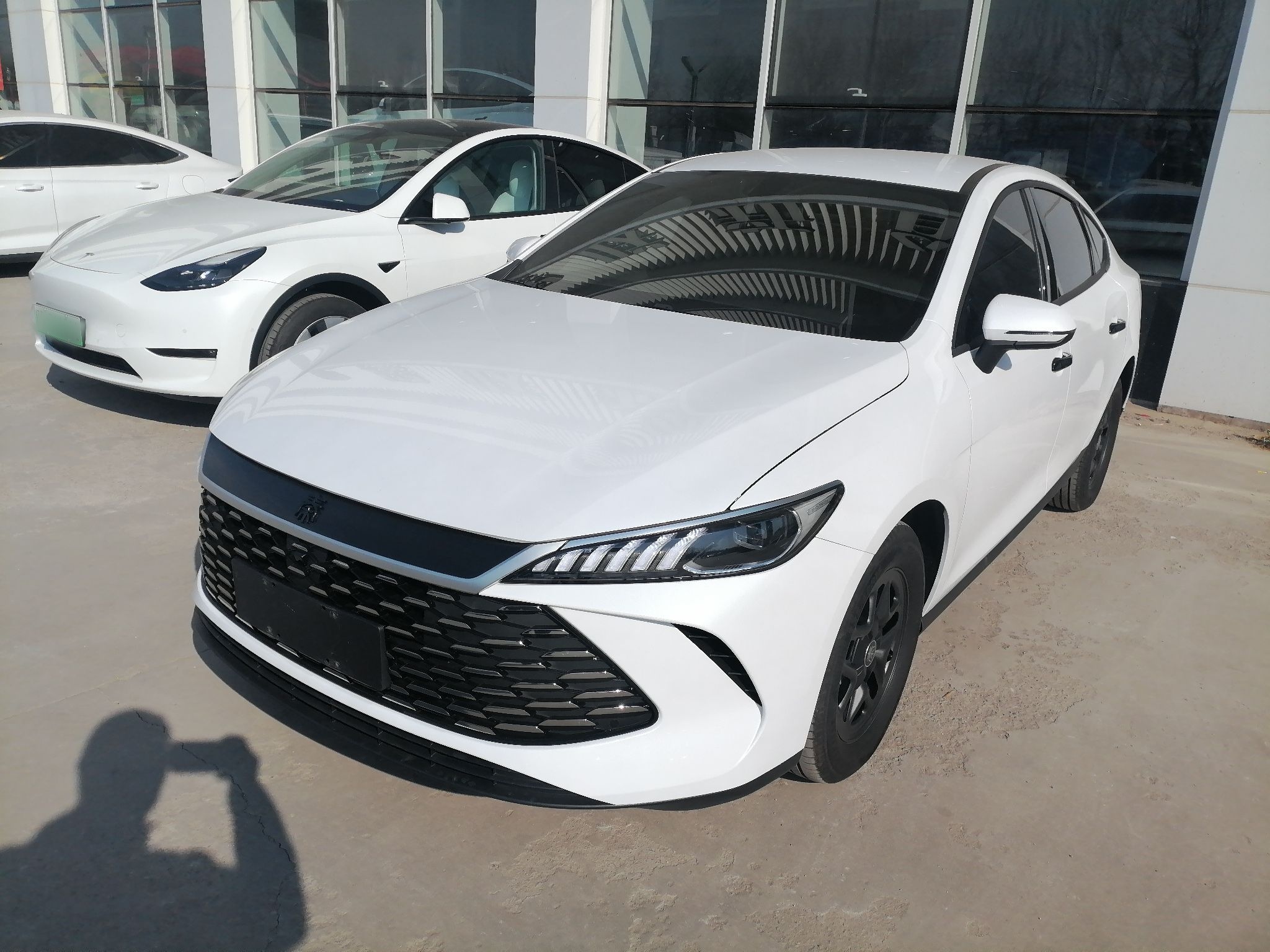 Parte inferior delantera