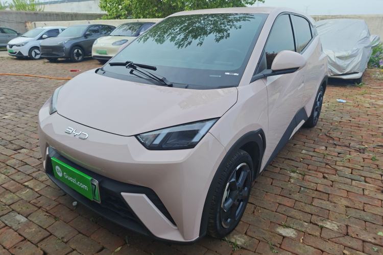 Used BYD Seagull 2024 Honor Edition 305km Freedom Version