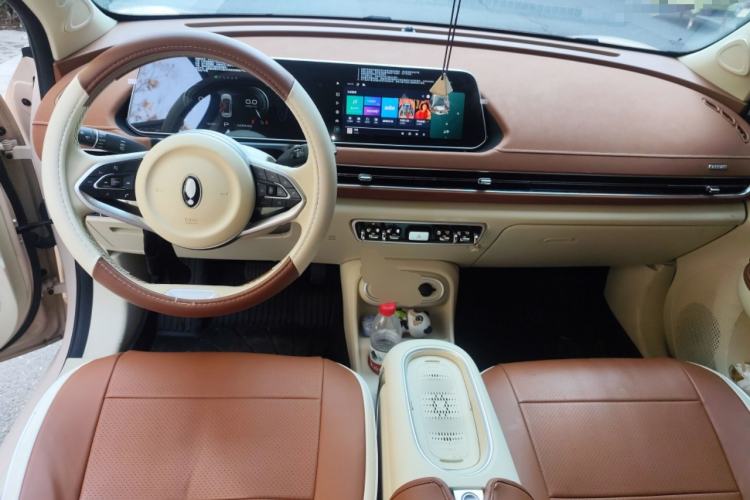 Used ORA Good Cat 2024 401 km Luxury Version