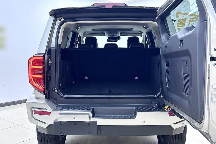 Used Tank 400 2025 2.0T Gasoline Version